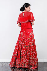 Red Thread Embroidered Rawsilk Skirt -top